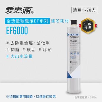 【愛惠浦】EF6000碳纖活性碳濾芯