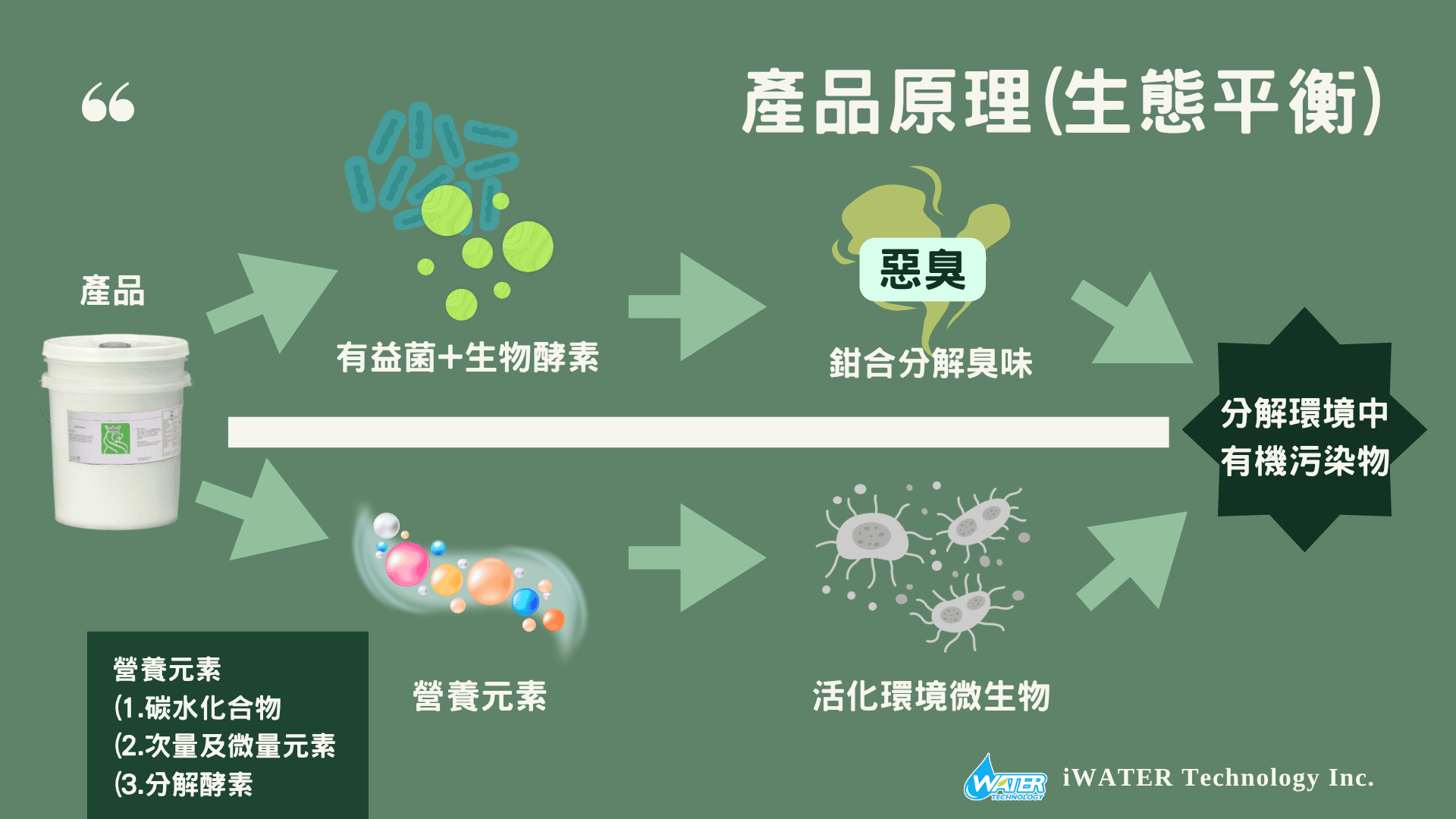 廢污水生物油脂處理劑原理