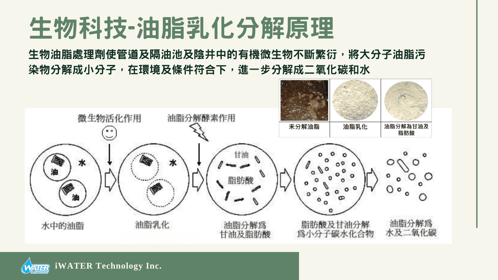 生物科技-油脂乳化分解原理